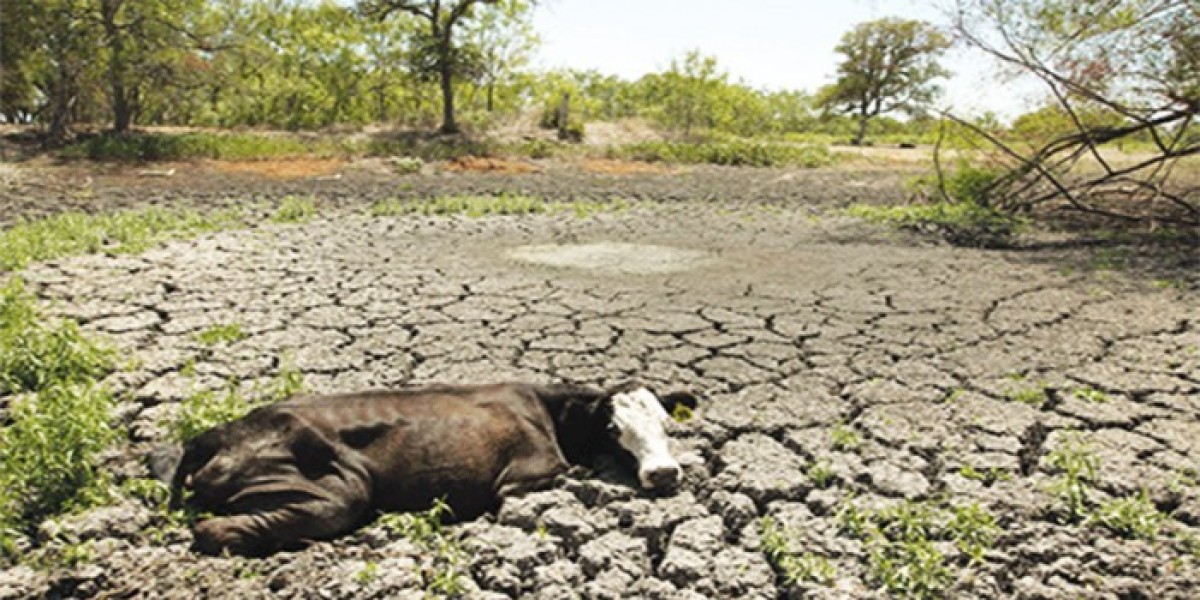 ශ්‍රී ලංකාවේ දැන් පවතින අධික උෂ්ණත්වය